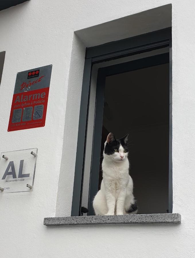 Caminhos Nos Levam Pela Ilha Apartment Ponta Delgada  Bagian luar foto