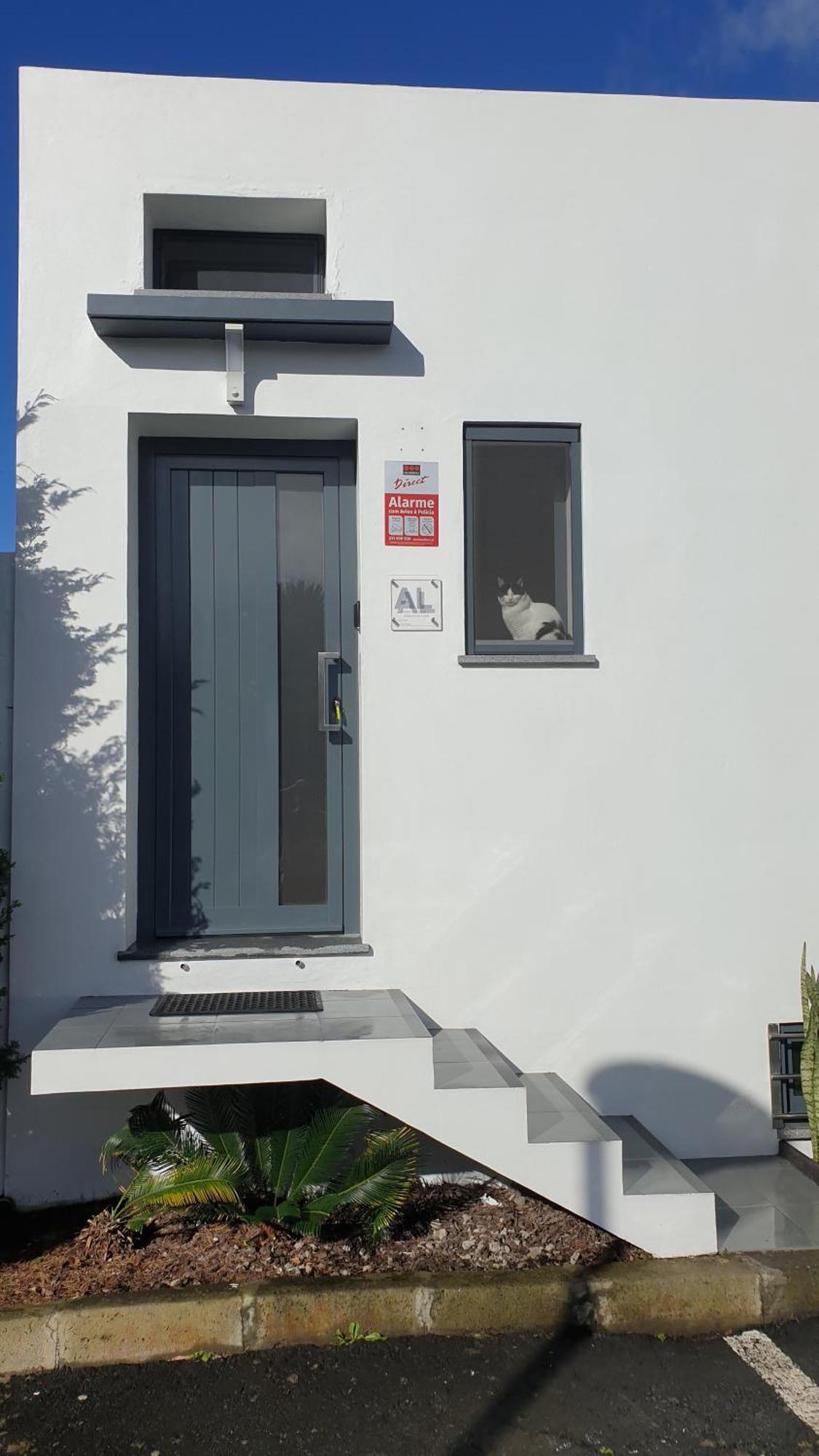 Caminhos Nos Levam Pela Ilha Apartment Ponta Delgada  Bagian luar foto