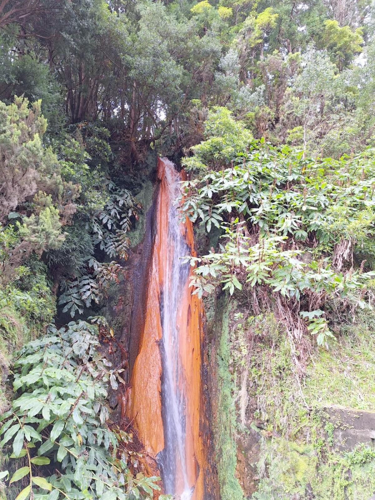 Caminhos Nos Levam Pela Ilha Apartment Ponta Delgada  Bagian luar foto