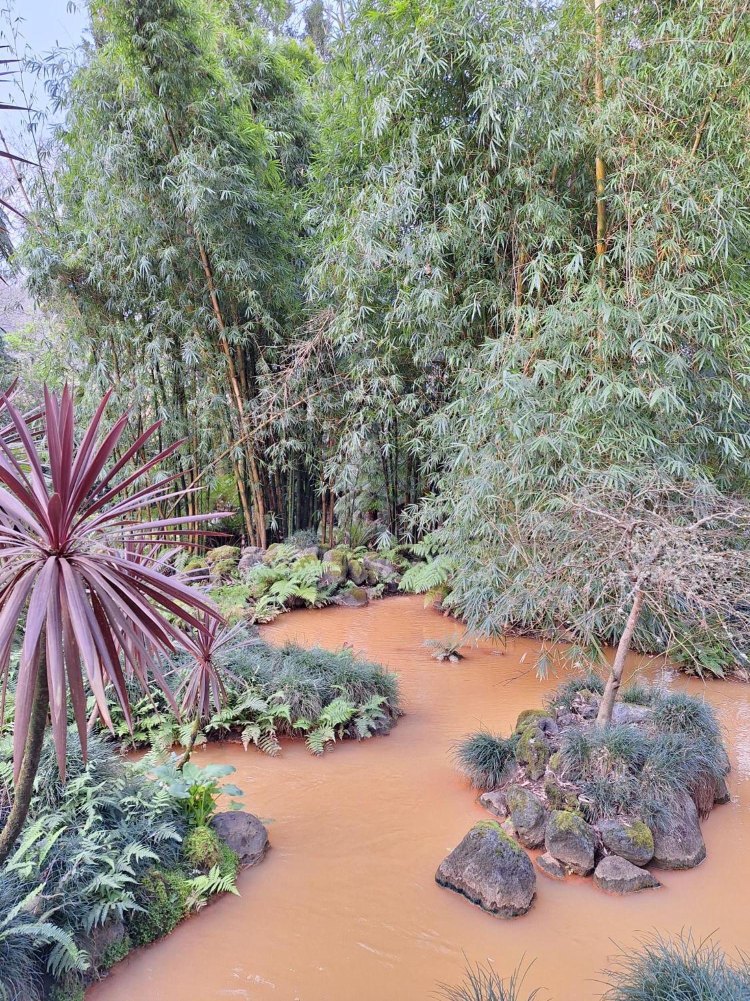 Caminhos Nos Levam Pela Ilha Apartment Ponta Delgada  Bagian luar foto